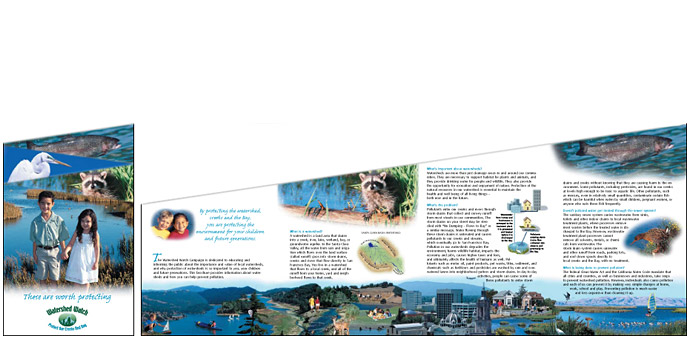 Watershed Watch Brochure