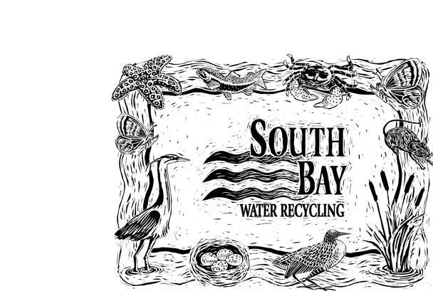 Bay wildlife illustration