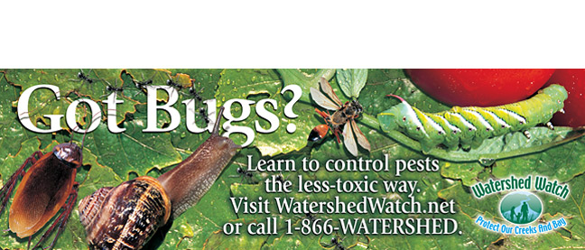 Watershed Watch Transit Ad 